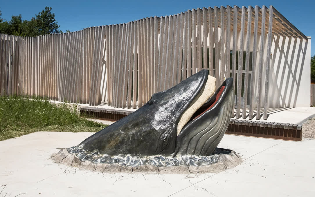 Preistoria - MuMAB – Museo Mare Antico e Biodiversità